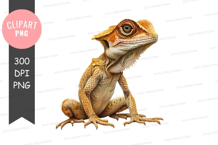 Thoughtful lizard clipart png