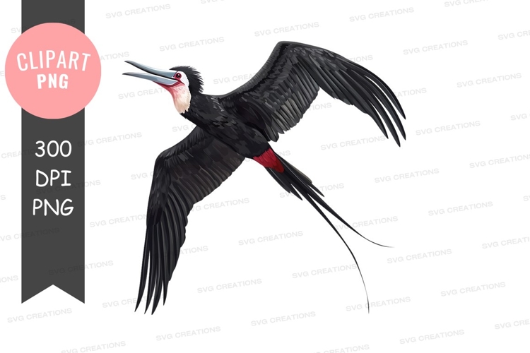 Transparent Wings Png Image 21