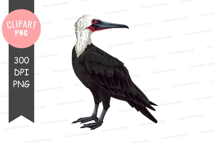 Eagle Head Clipart Image 21