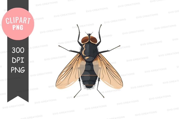 Fly Illustration Image 13