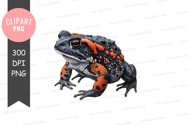 Fire-bellied toad clipart png