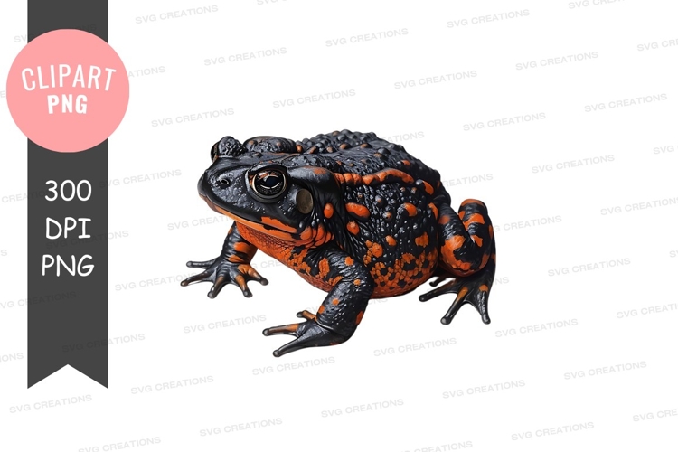 Black and orange frog clipart png
