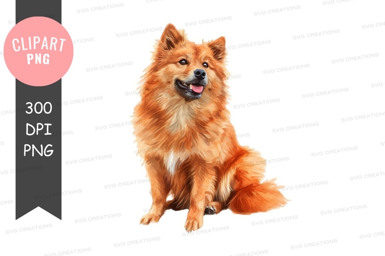 Happy pomeranian dog clipart png