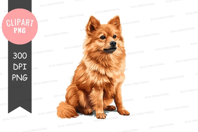 Cute pomeranian dog clipart png