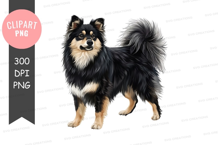 Black and tan pomeranian dog clipart png
