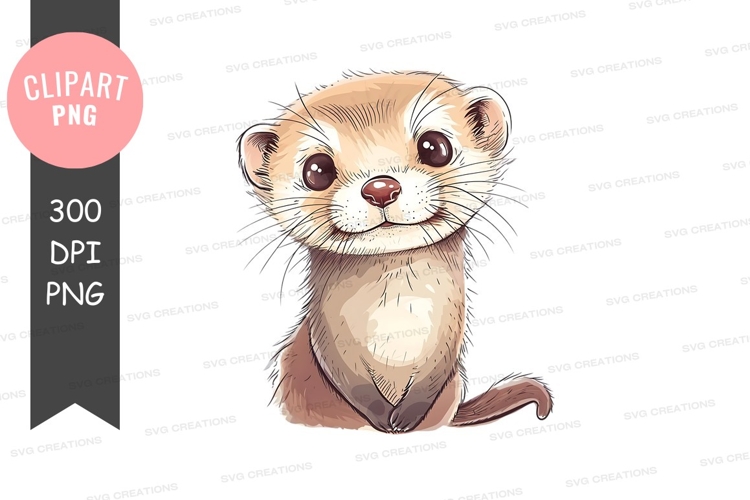 Cute ferret clipart png