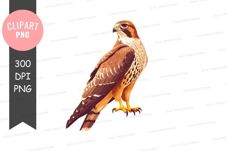 Falcon Clipart Image 6