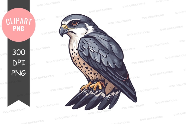 Falcon Clipart Image 5