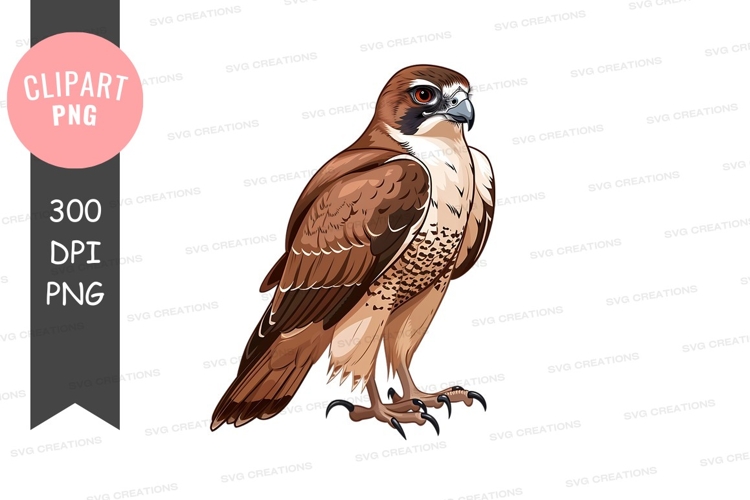 Falcon Clipart Image 3