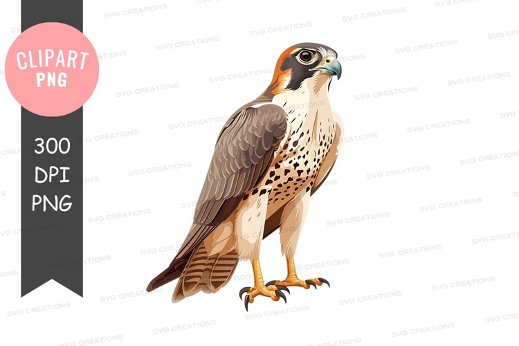 Falcon Clipart Image 4