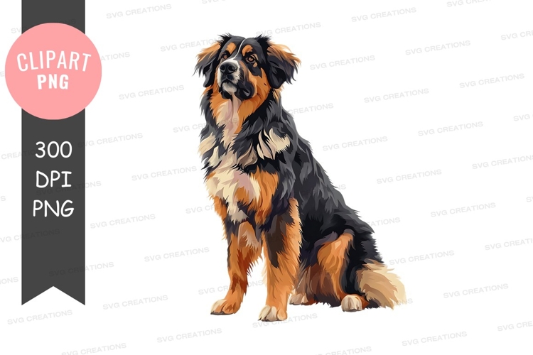 Bernese Mountain Dog SVGs Image 12