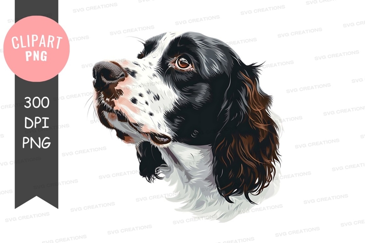Pet Illustration Image 24