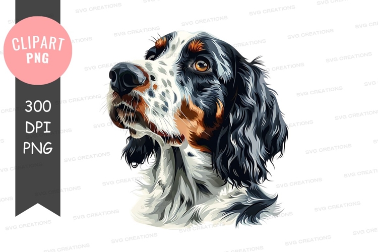 Pet Illustration Image 22