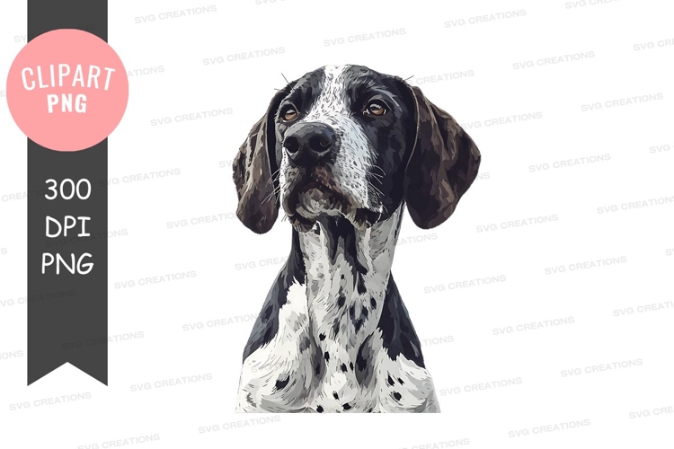 Pet Illustration Image 21