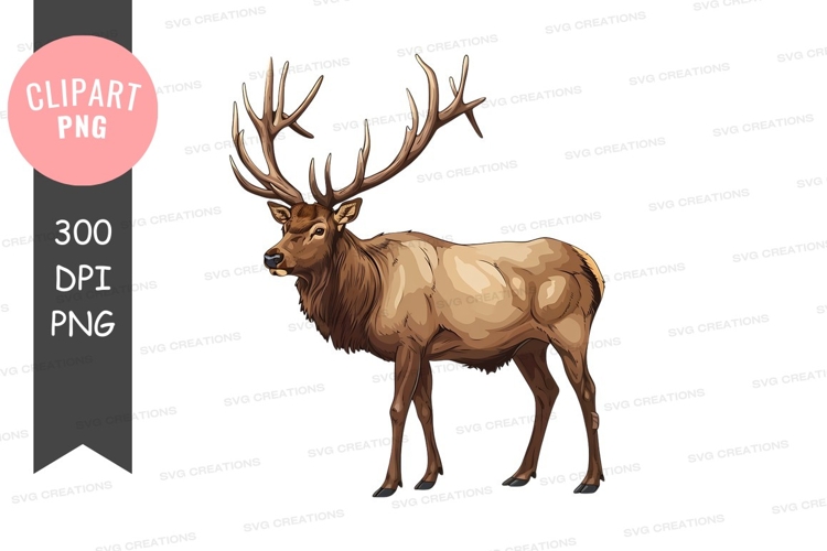 Deer Antlers Clipart Image 17