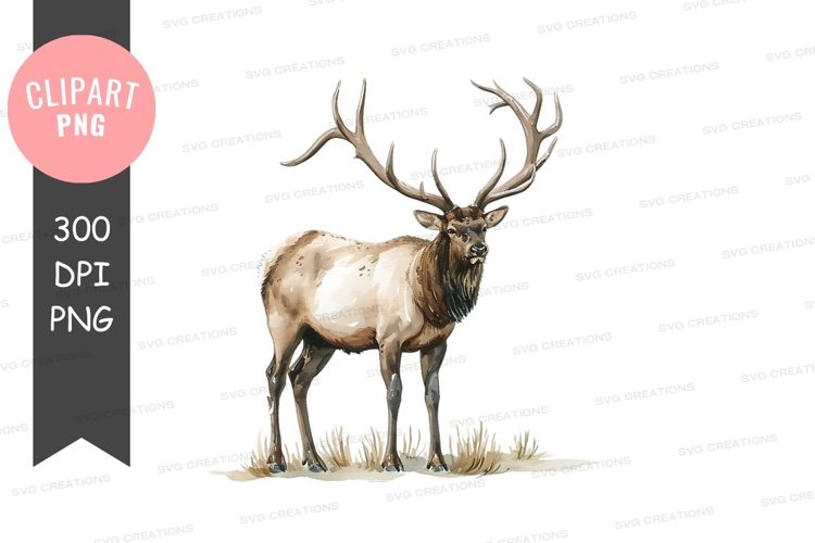 Deer Antlers Clipart Image 16