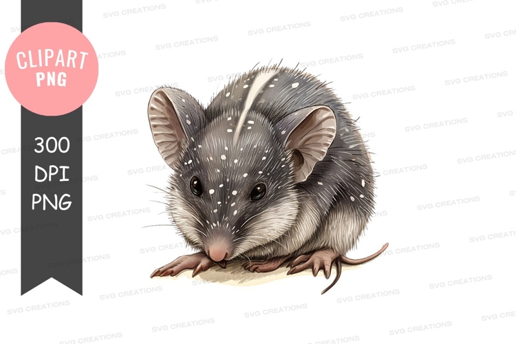 Gray mouse clipart png