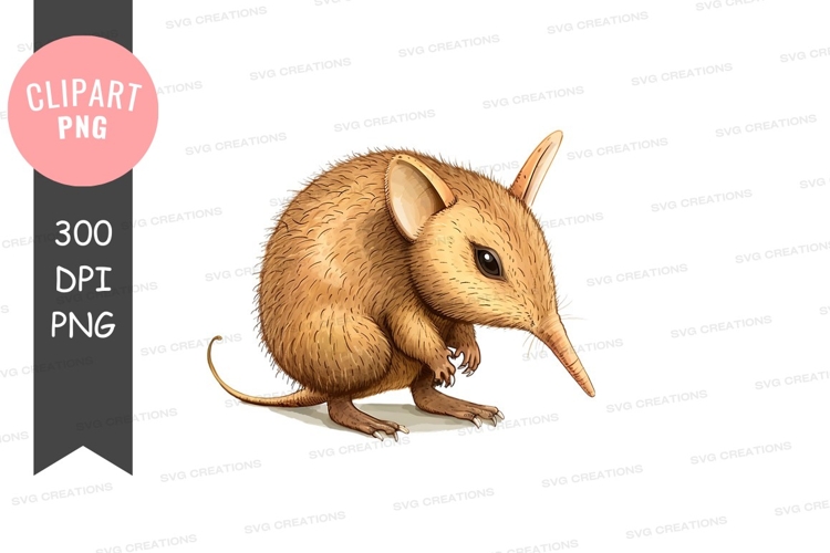 Brown bandicoot clipart png
