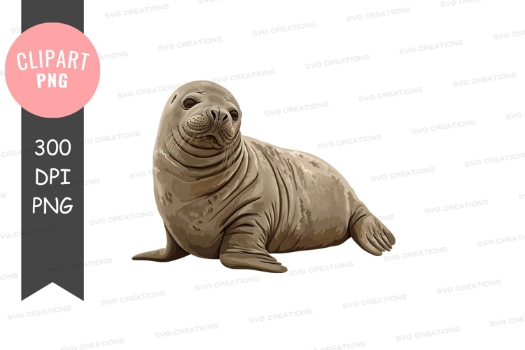 Stecknadel Png Image 10