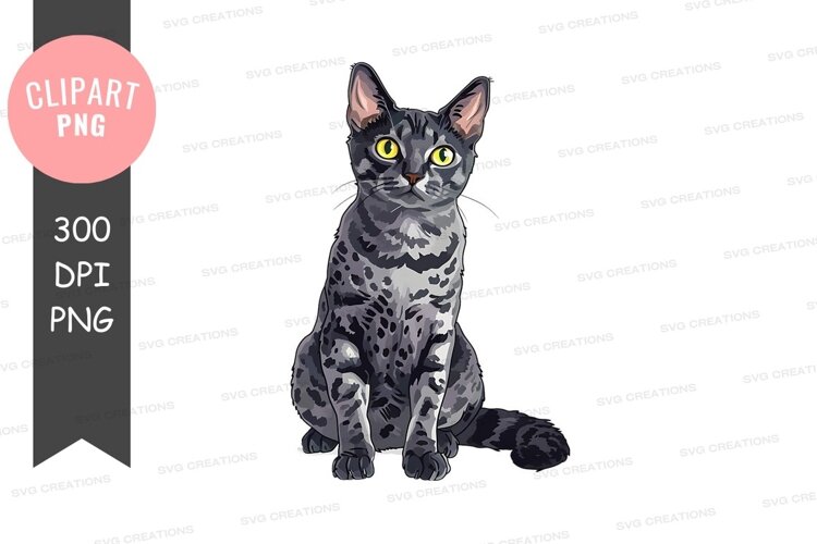 Gray tabby cat example image 1