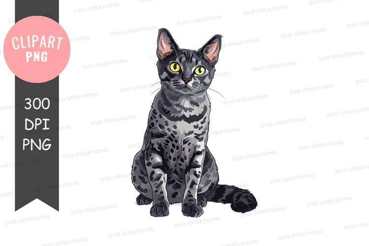 Gray tabby cat