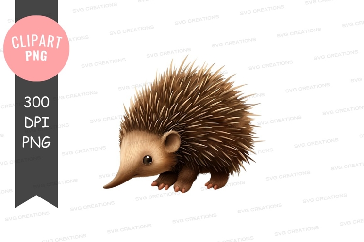 Falcon Clipart Image 10