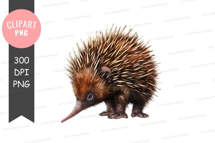 Anteater Clipart Image 12