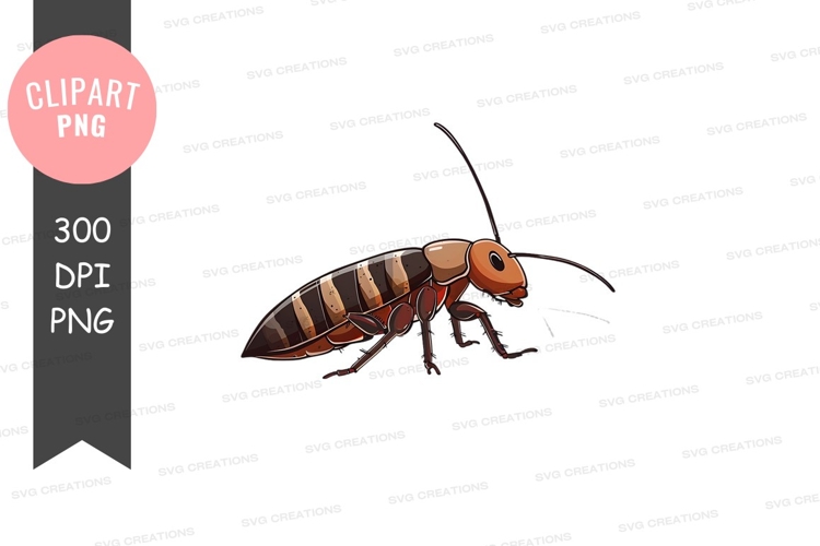 Cockroach Clipart Image 4
