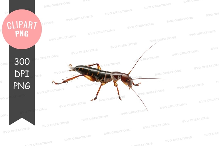 Cockroach Clipart Image 2