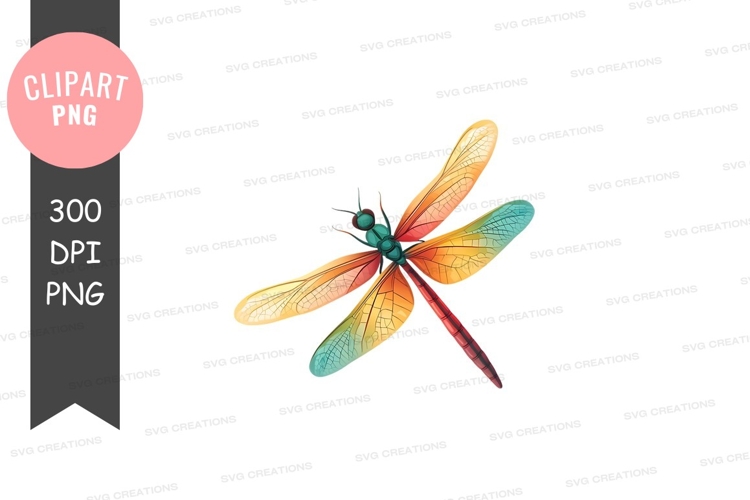 Dragonfly Png Image 24