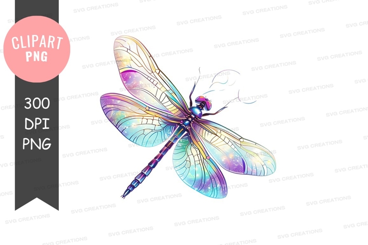 Dragonfly Png Image 22