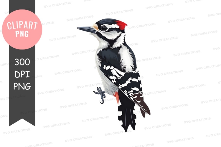 Black and white woodpecker clipart png