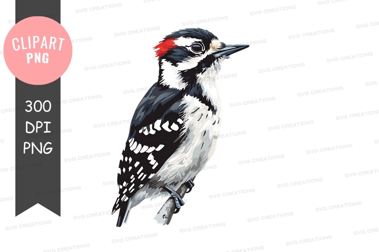 Woodpecker clipart png