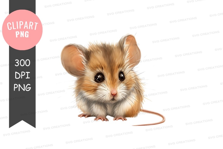 Orca Cartoon Image 14