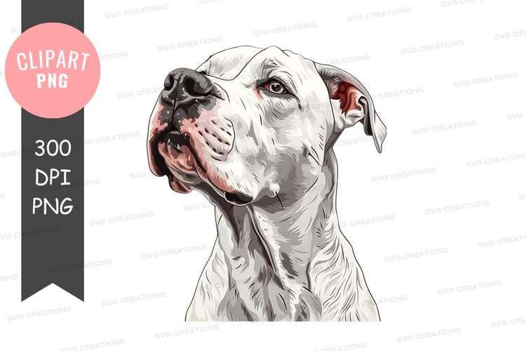 Feathers Clipart Image 24