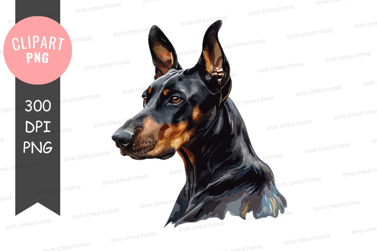 Portrait of a doberman pinscher