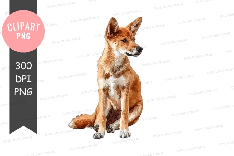 Dragonfly Png Image 3