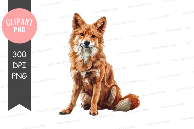 Illustrative fox clipart png