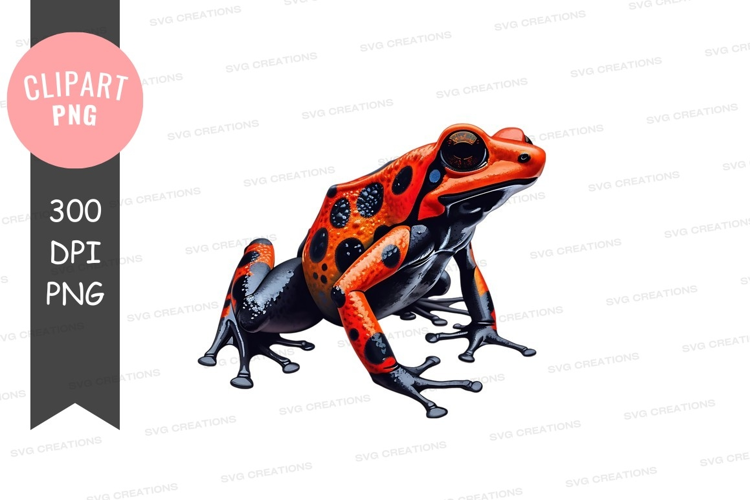 Vibrant red and black poison dart frog