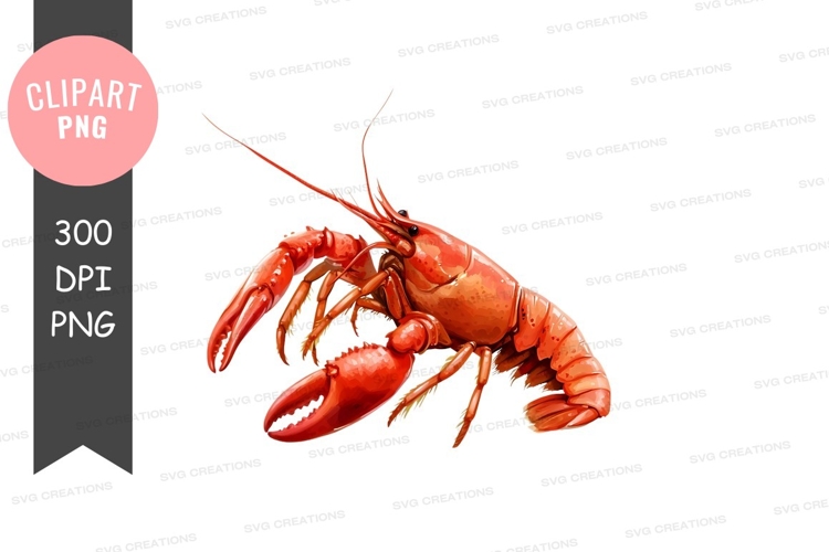 Insect Clipart Image 22