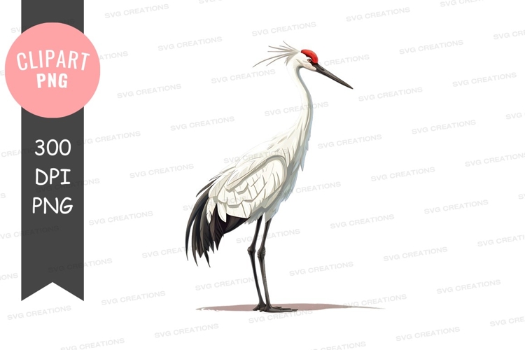 Graceful crane clipart png