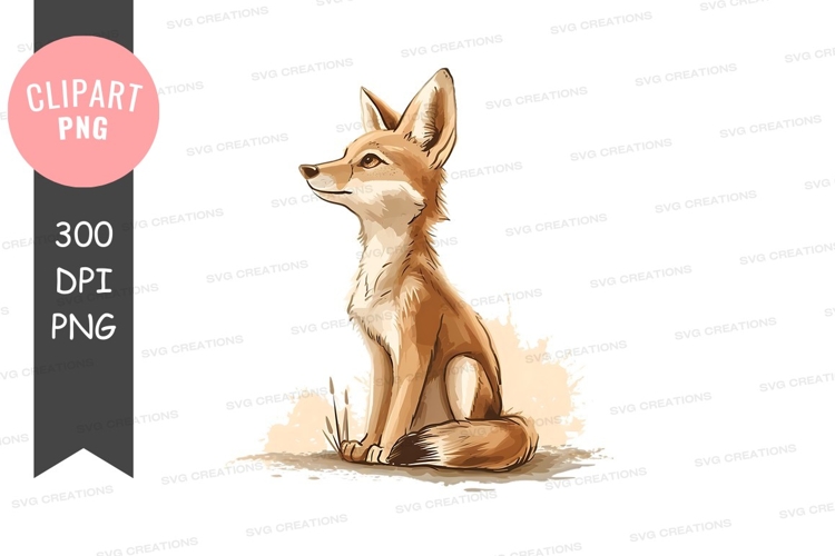 Orca Cartoon Image 12