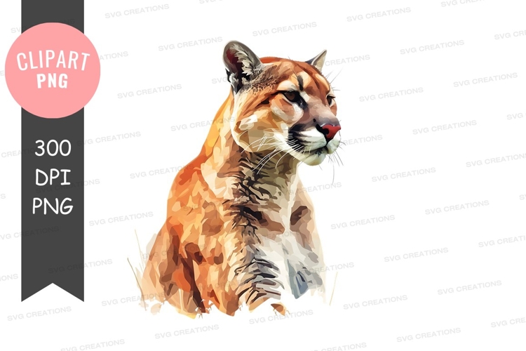 Cougar Clipart Image 20