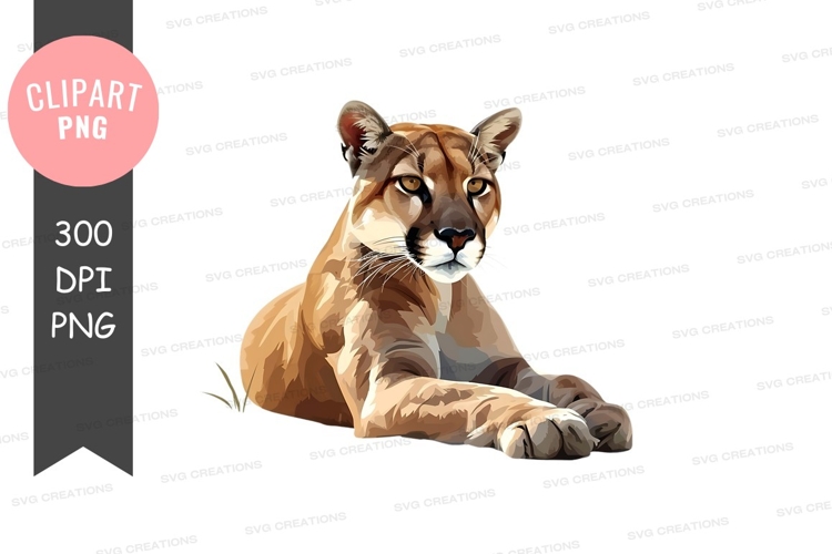 Lioness Png Image 7