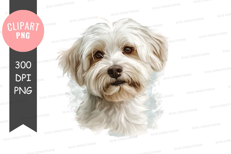 Portrait of a fluffy white dog