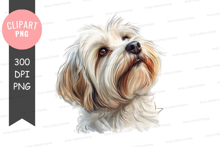 Portrait of a shih tzu