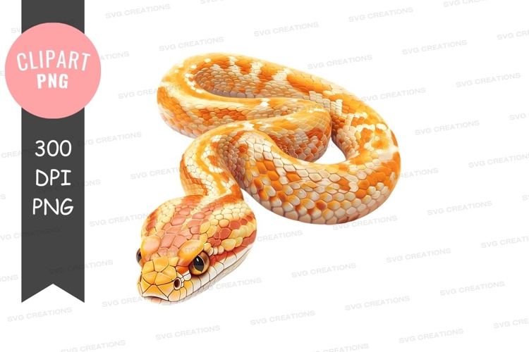 Snake Illustration Image 4