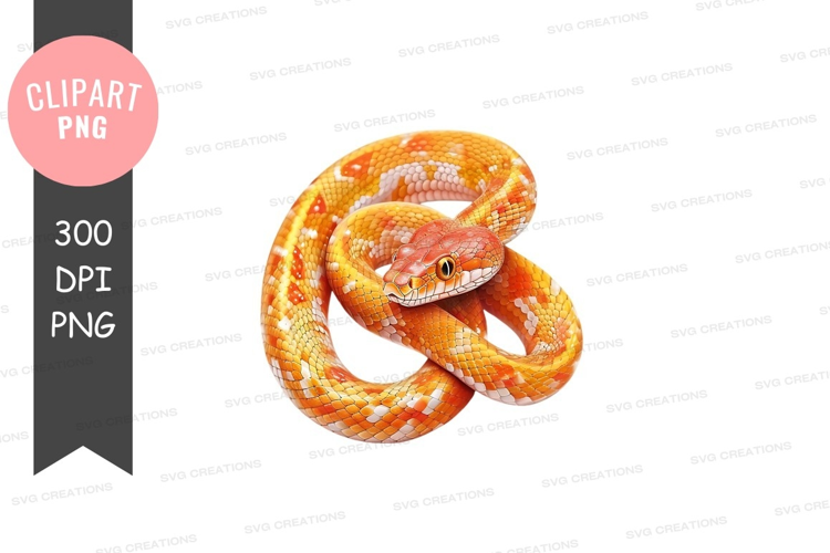 Vibrant orange and white snake