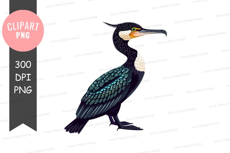Feathers Clipart Image 18
