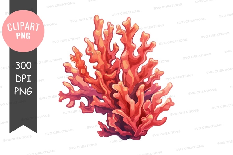 Coral Png Image 21